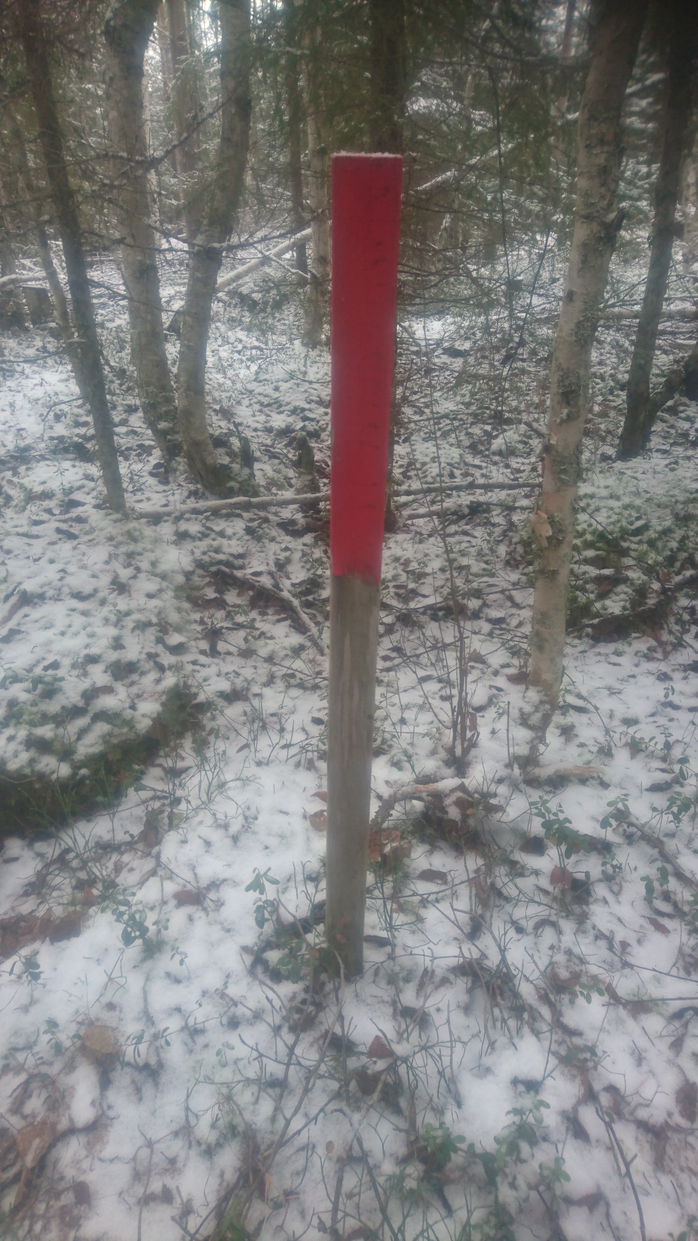 The focal point of Finland